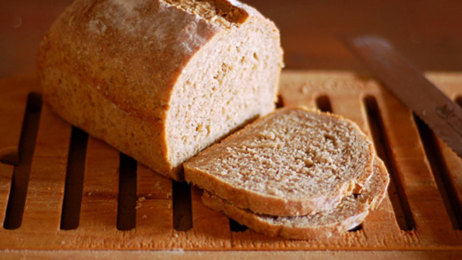 Is wheat bread sales ok for dogs