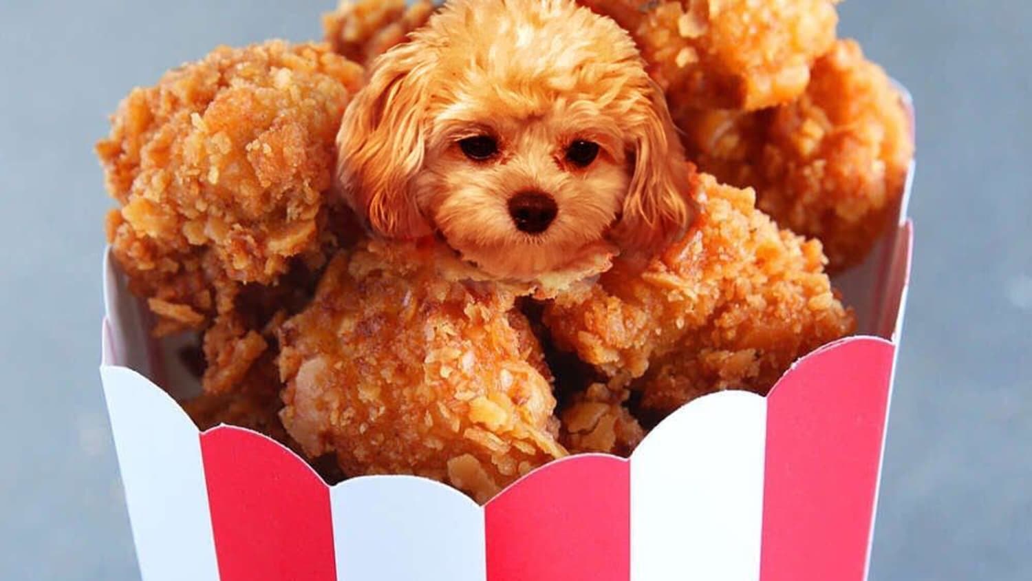 Dogs 2025 in food