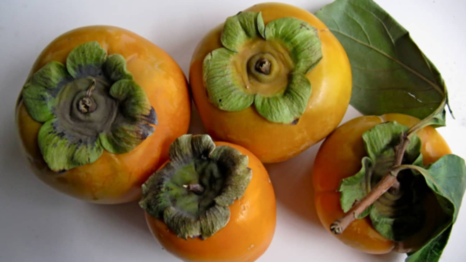 Persimmon ドライバー Genuine