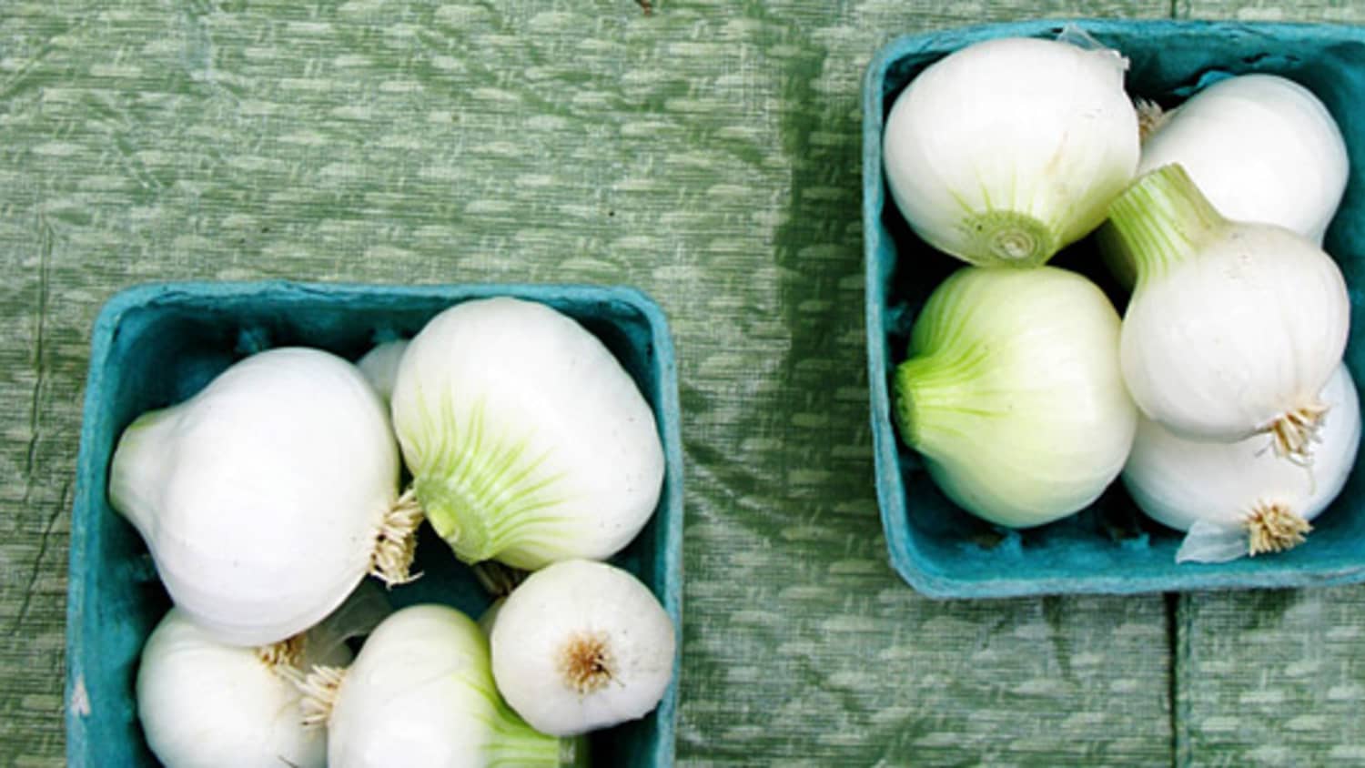 Are white onions bad for dogs online