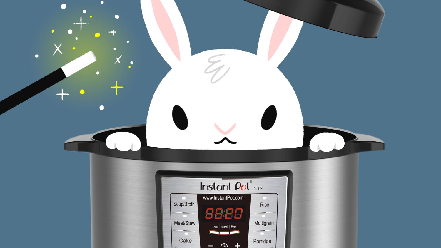 Defrost roast shop in instant pot