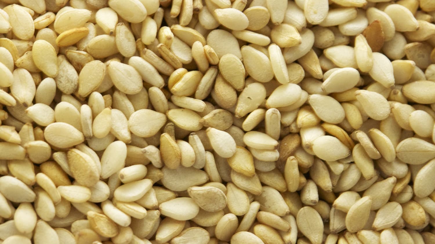 Sesame best sale