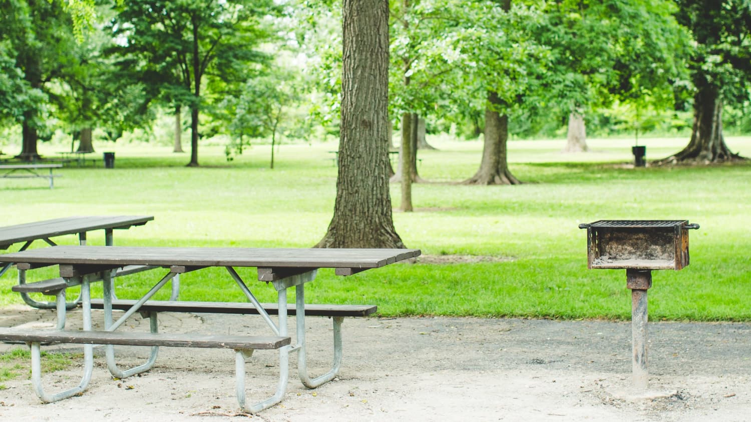 State 2025 park grill