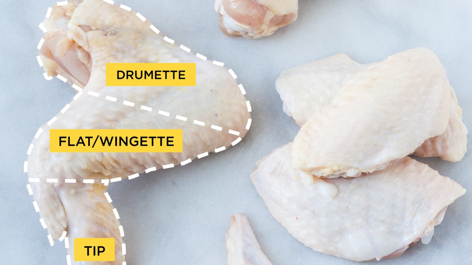 Anatomy Of A Chicken Wing Slidesharedocs