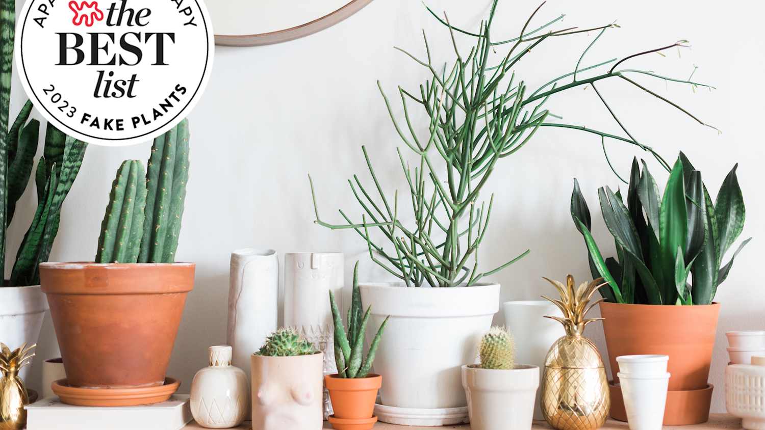 The Best Fake Plants of 2023, Tested By AT Editors | Apartment Therapy