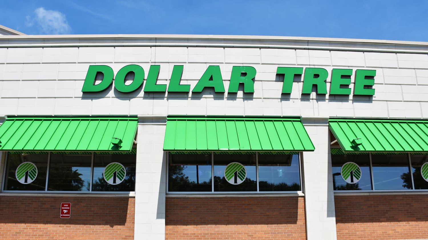 The 1 Dollar Tree Find That s So Adorable Shoppers Are Buying 3 at a Time The Kitchn