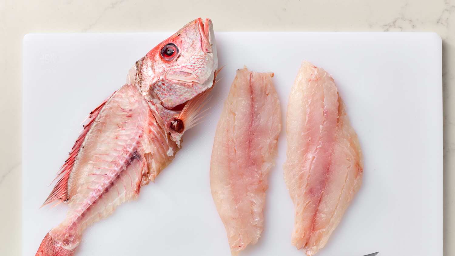fish meat images
