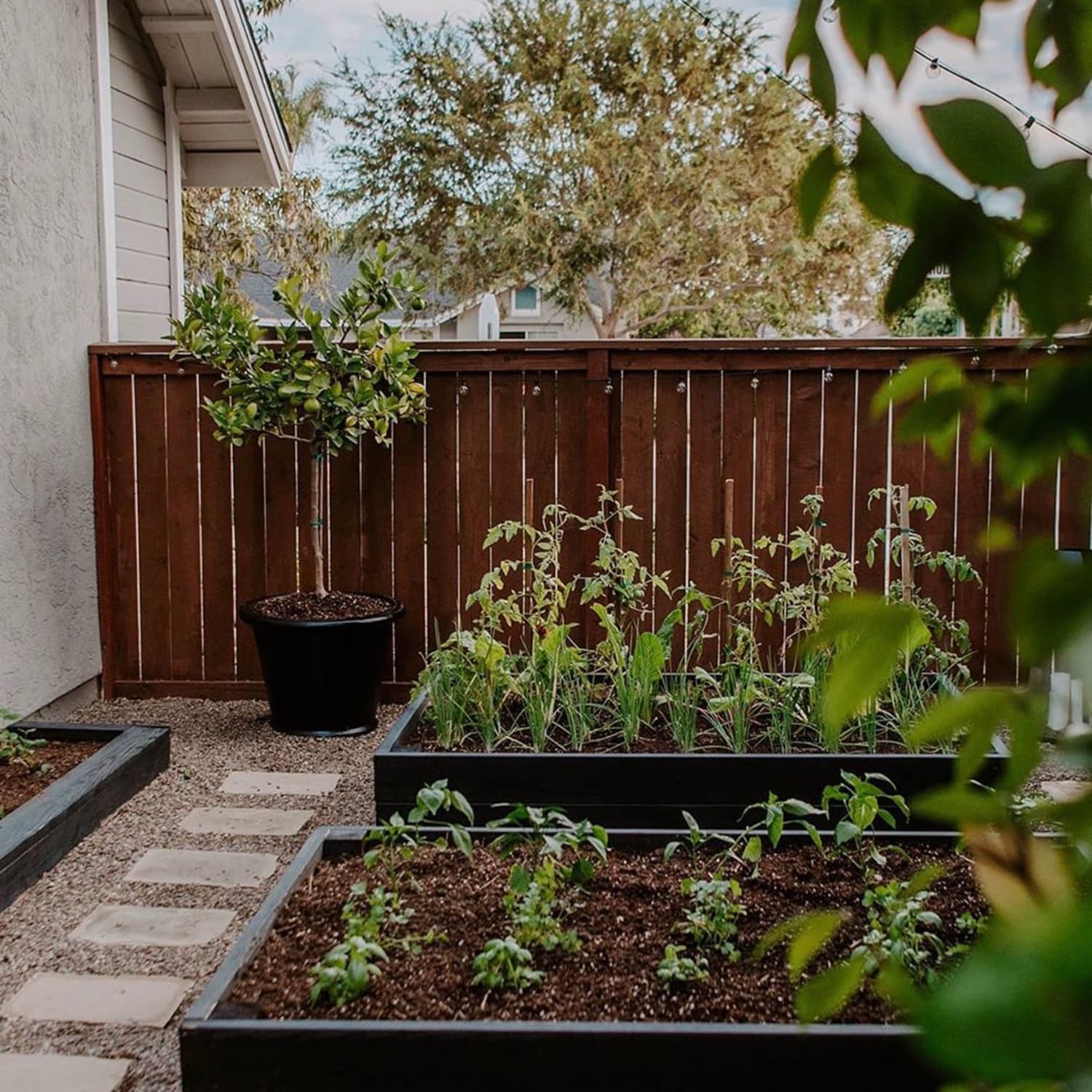 10 Patio Garden Ideas How To Grow Plants On A Small Porch Apartment Therapy
