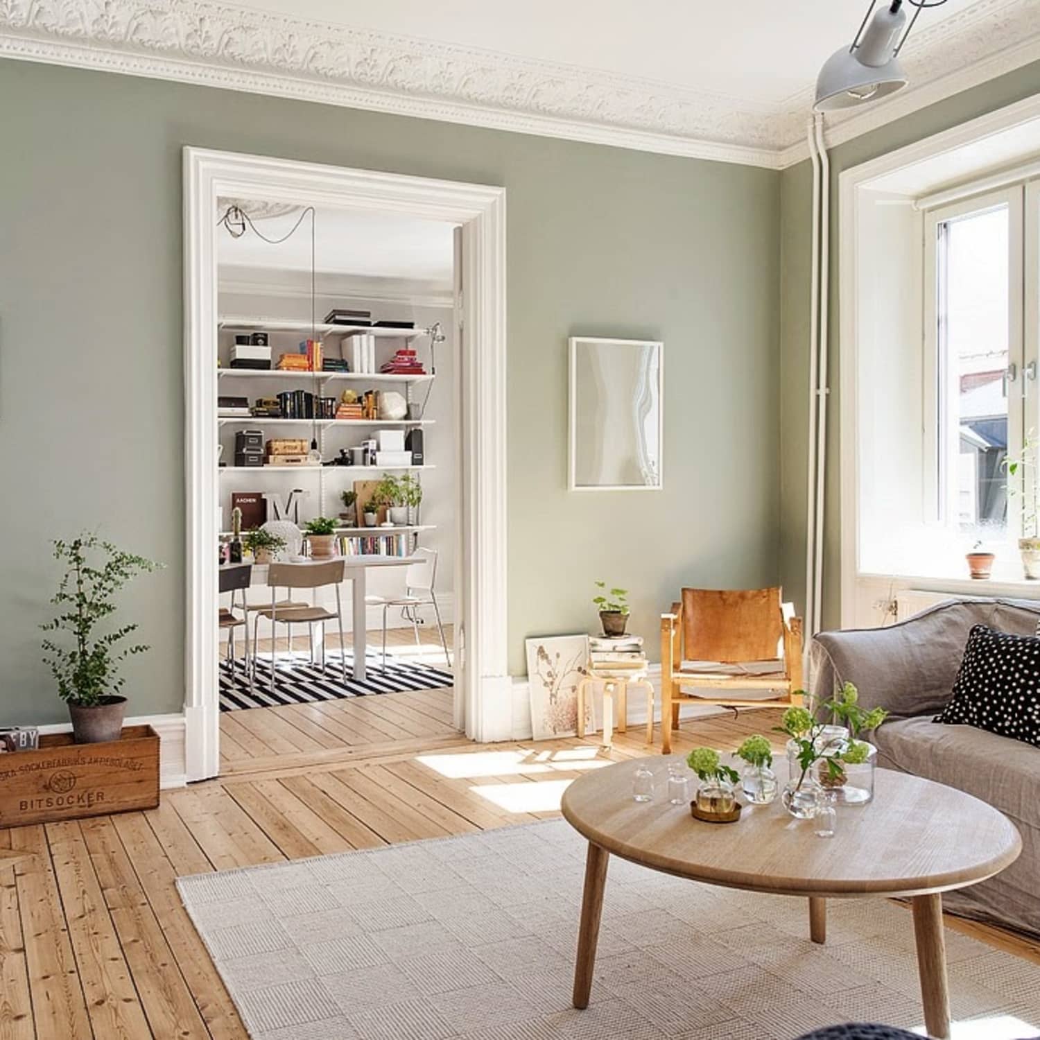 Featured image of post Crush Sage Sage Green Aesthetic - Daha fazla skor elde edebilirsiniz, eğer bu oyunu çok beğendiyseniz farklı.