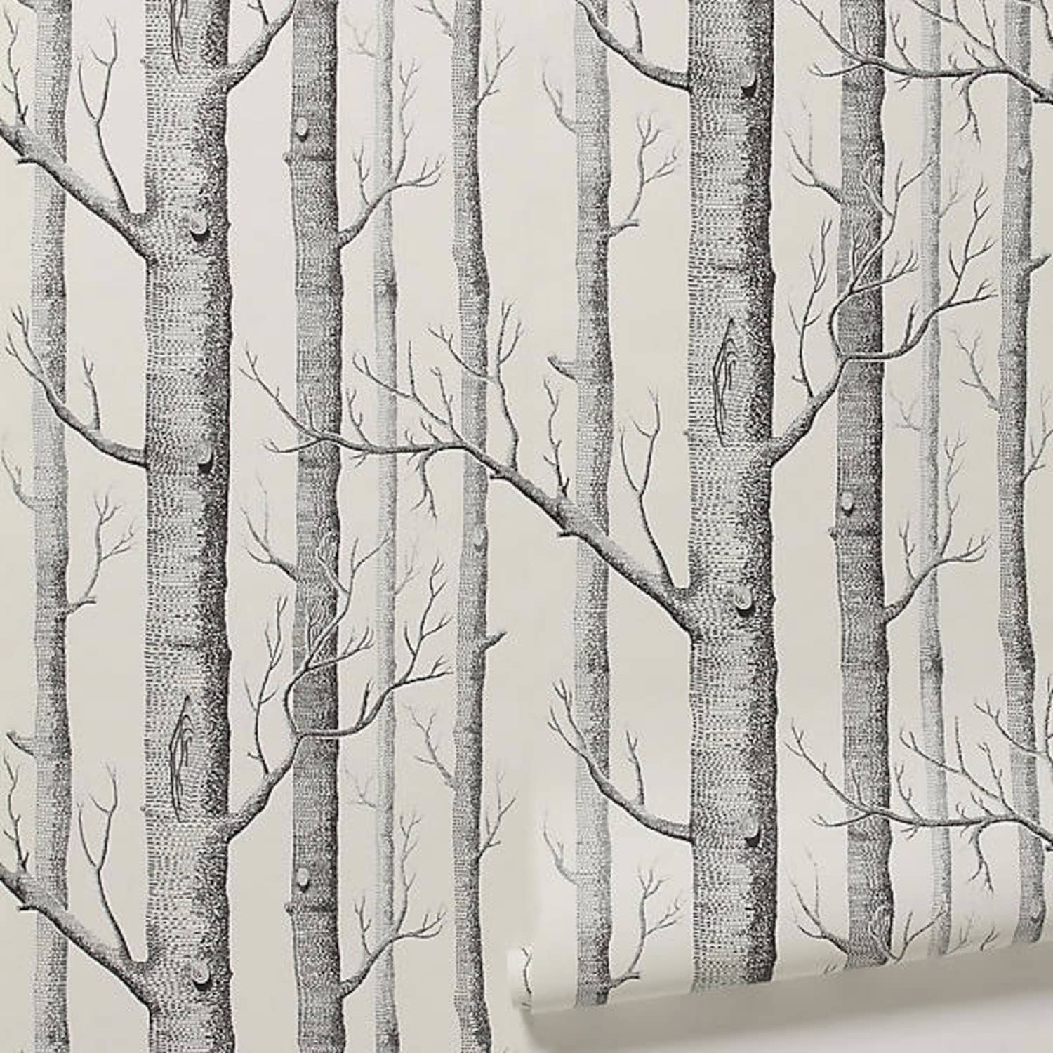10 Excellent Sources for Buying Birch Tree Wallpaper | Apartment Therapy
