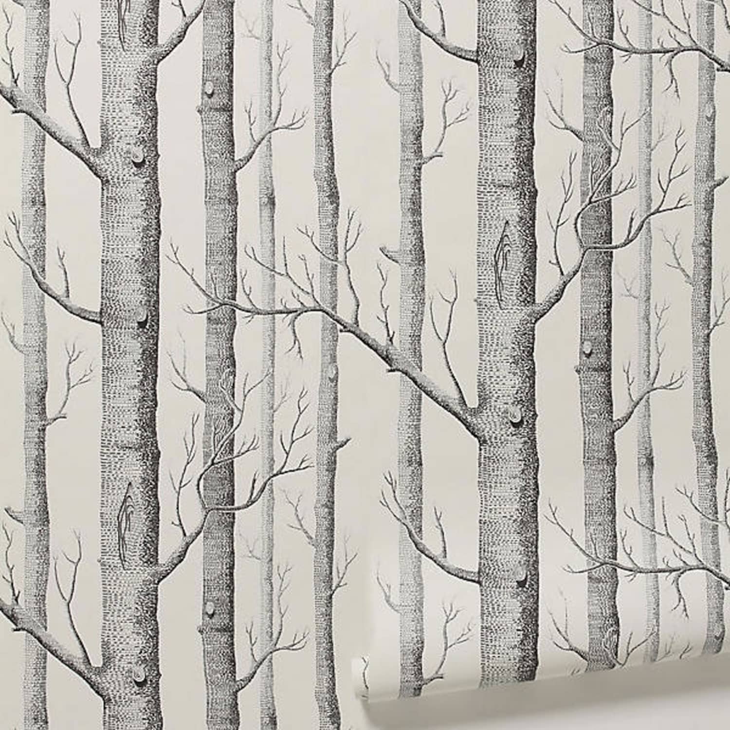 10 Excellent Sources For Buying Birch Tree Wallpaper Apartment
