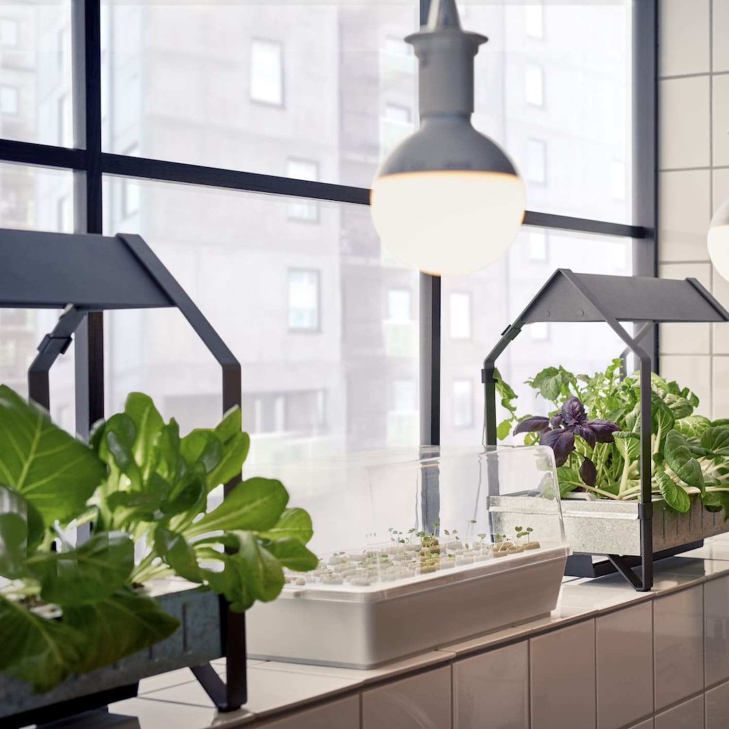 Can Ikea Make Hydroponic Gardening Catch On With The Masses