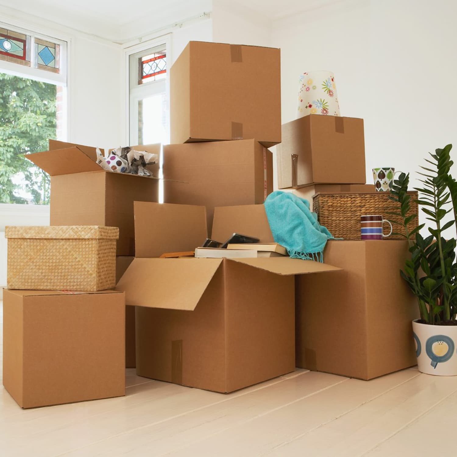 How To Move Long Distances With Plants Apartment Therapy