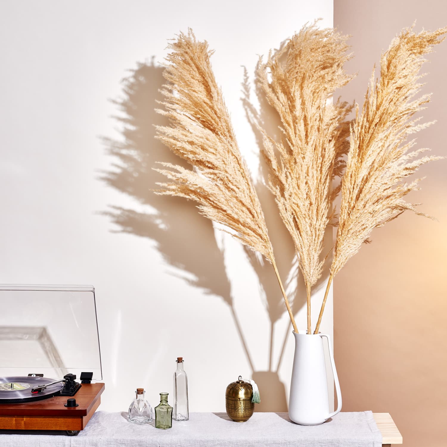 Dried Pampas grass light pink 