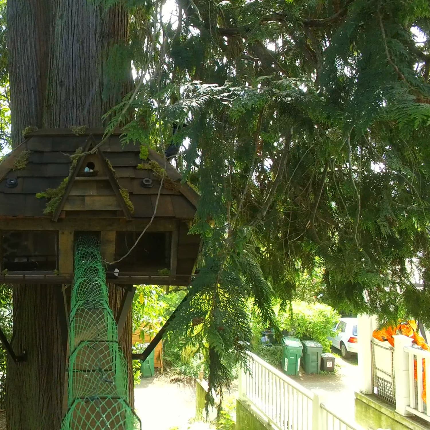 New Show Animal Cribs Tackles Over The Top Renovations For Your Pets Apartment Therapy Some will be hidden away at the top of high ledges and cliffs, and you won't be able to get up there without a ladder. new show animal cribs tackles over