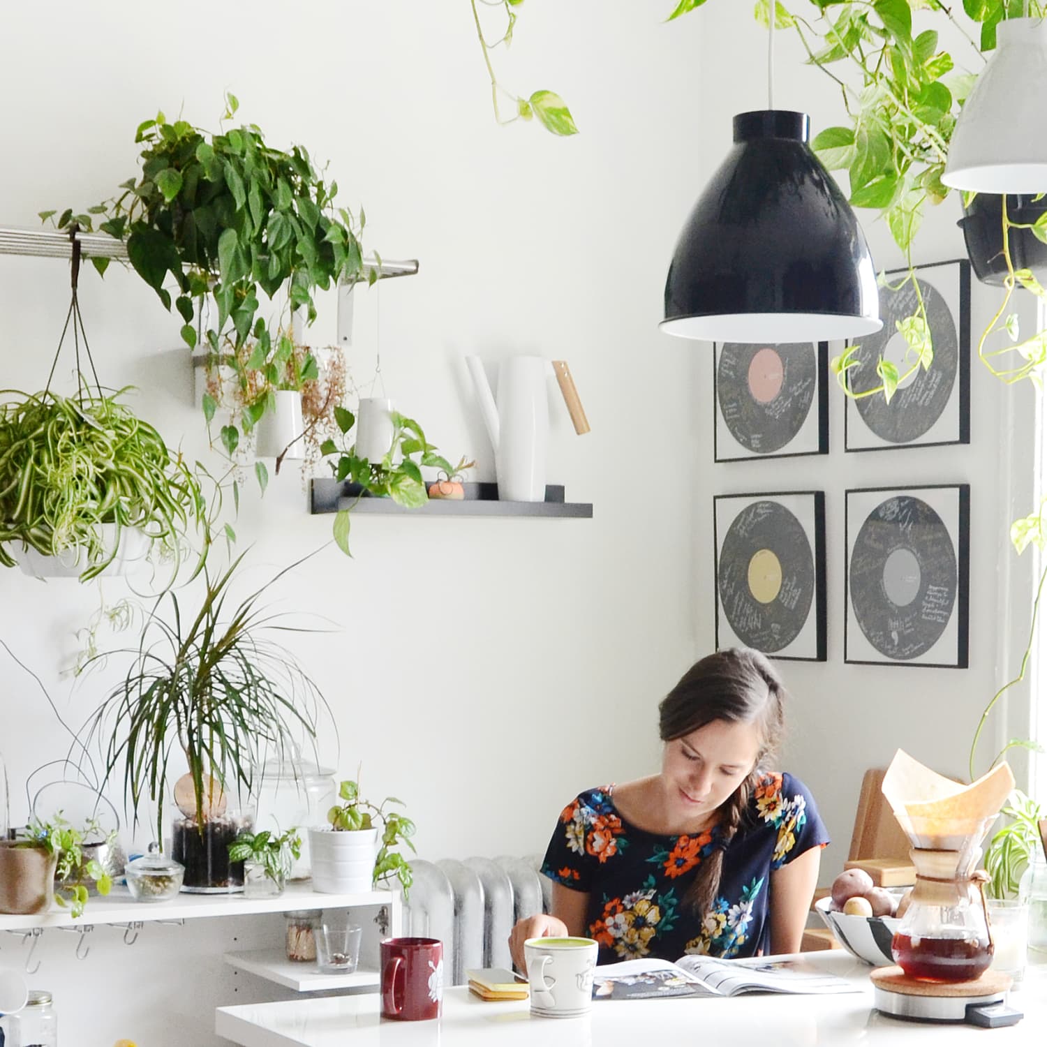 Hanging Plants to Save Table Space