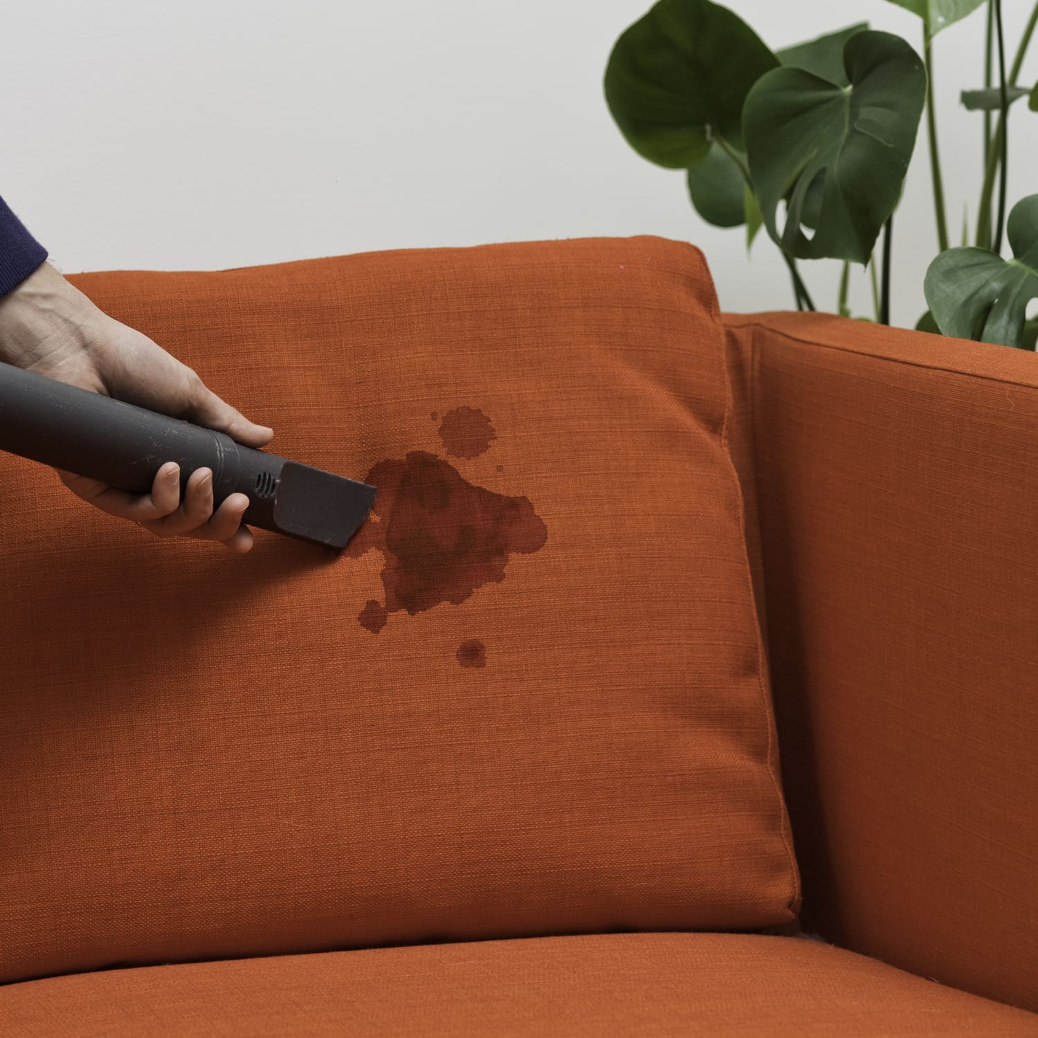 The Ultimate Guide to Removing Every Type of Fabric Stain from