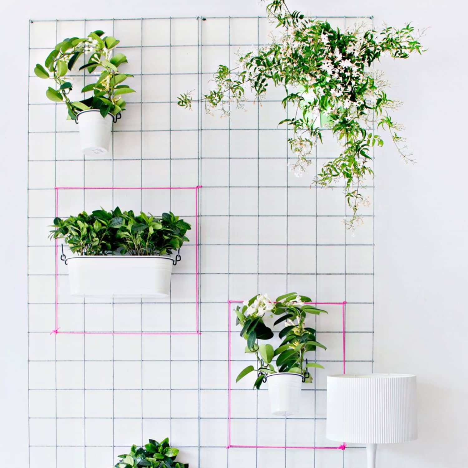6 Ways to Create a Plant Wall In a Rental | Apartment Therapy