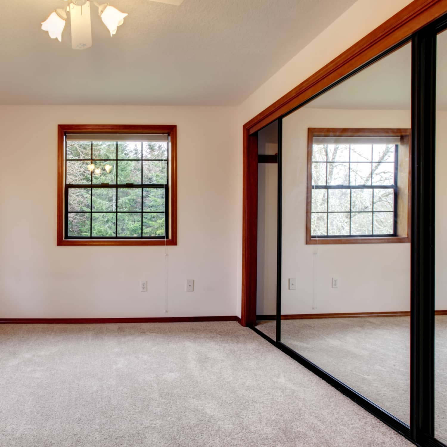 Mirror Closet Door Options