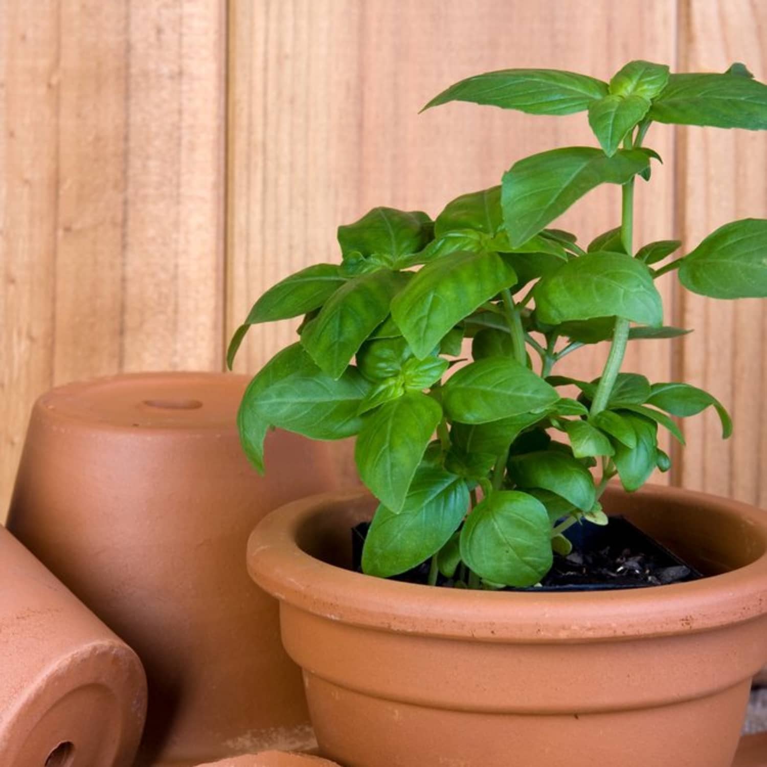 Don T Throw It Away 3 Things You Can Do With Your Broken Pots And Planters Apartment Therapy