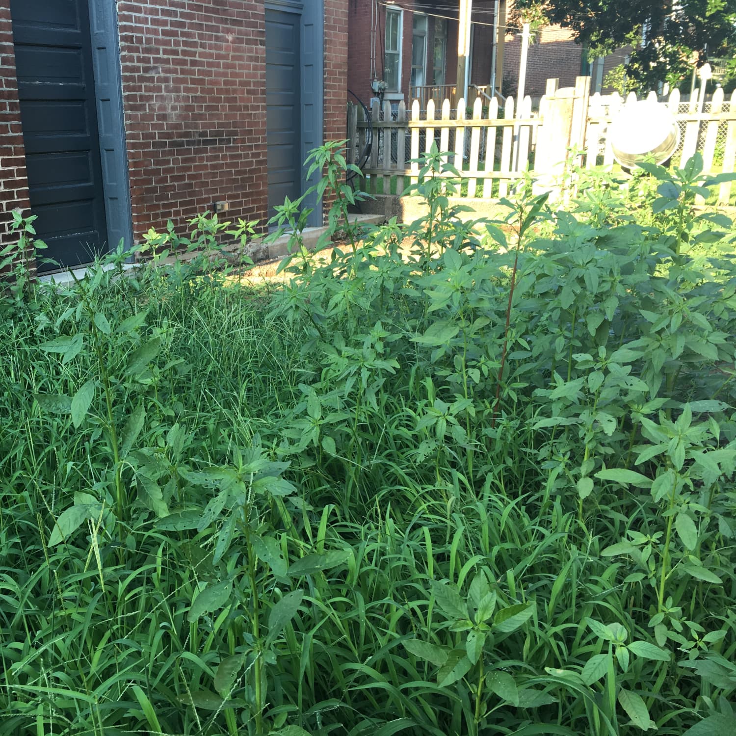 How To Lay Gravel On Soil And Prevent Weeds Apartment Therapy