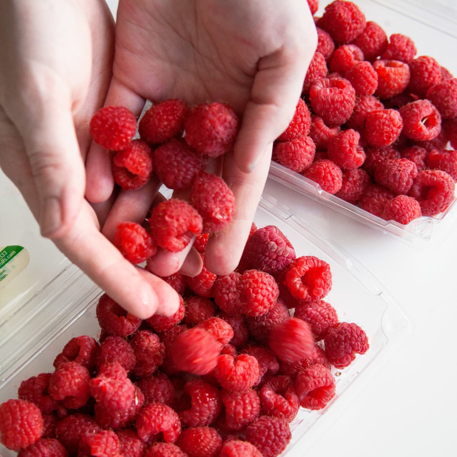 Here S What 1 Pound Of Raspberries Looks Like Kitchn