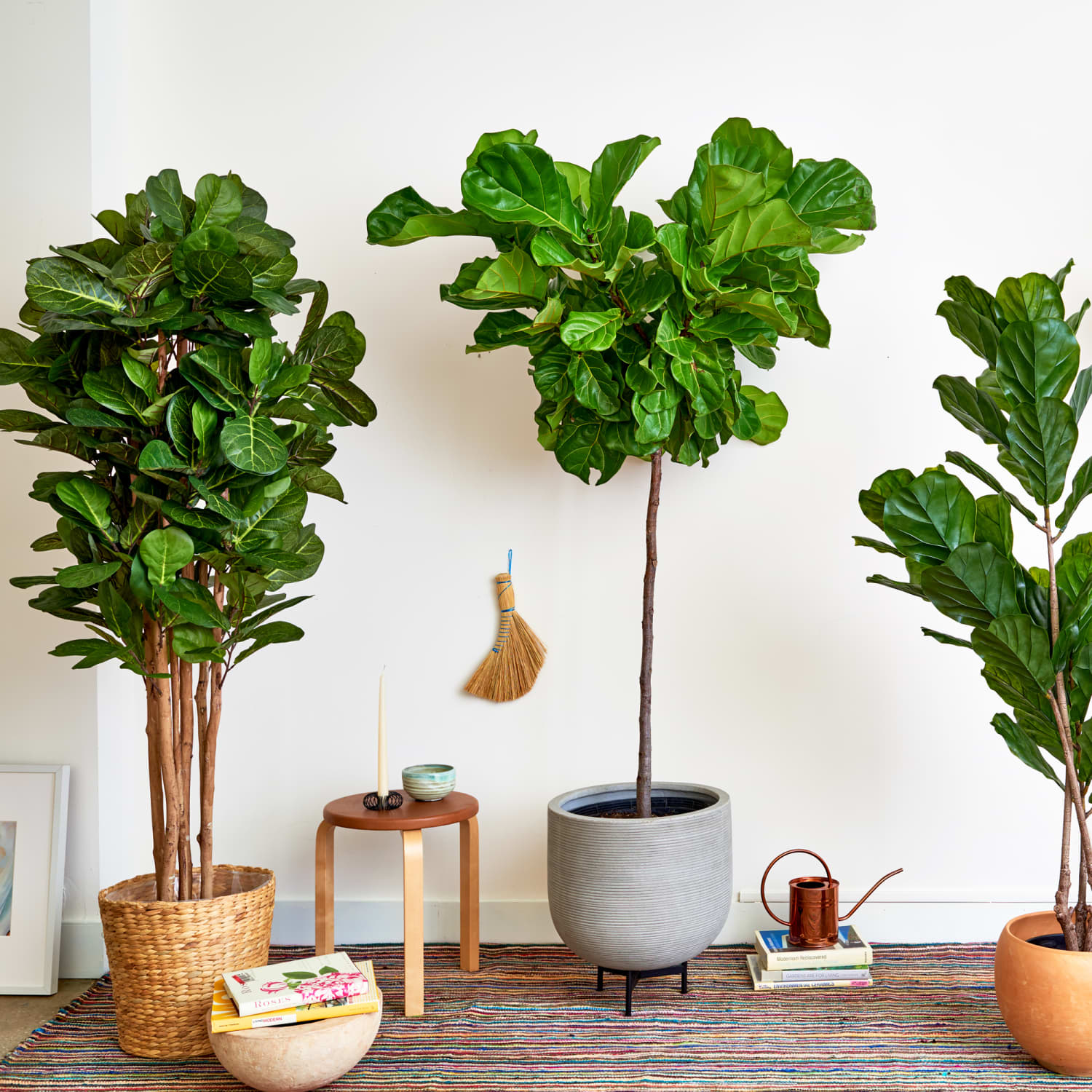 The Best Faux Fiddle Leaf Fig Tree Apartment Therapy