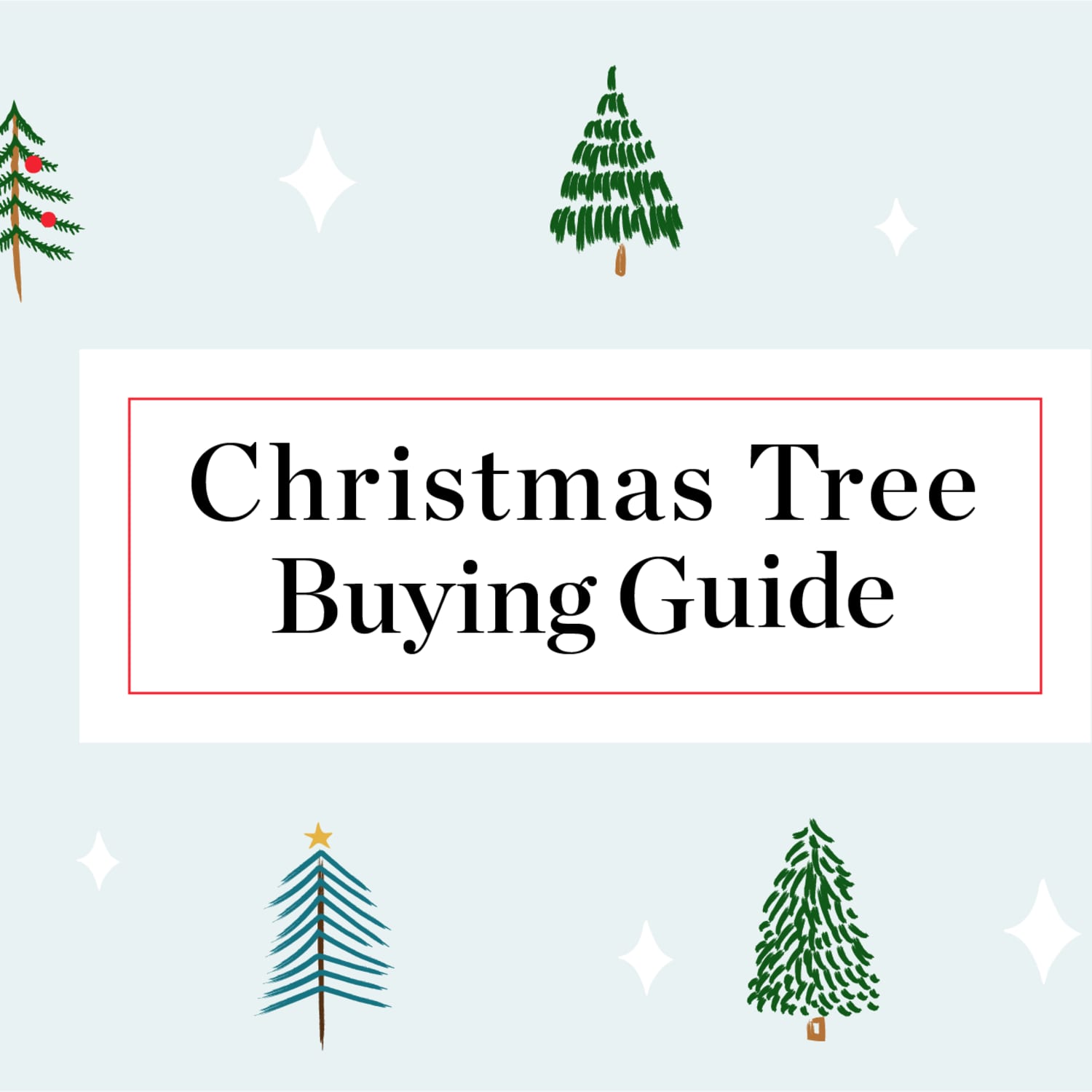 Buying A Christmas Tree Guide Christmas Tree Types Apartment Therapy