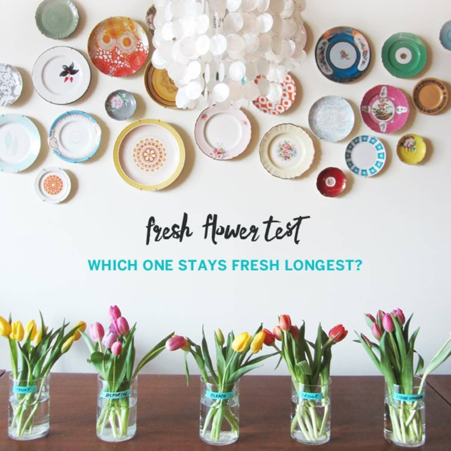 Test Lab: The Best Way To Keep Flowers Fresh | Apartment Therapy