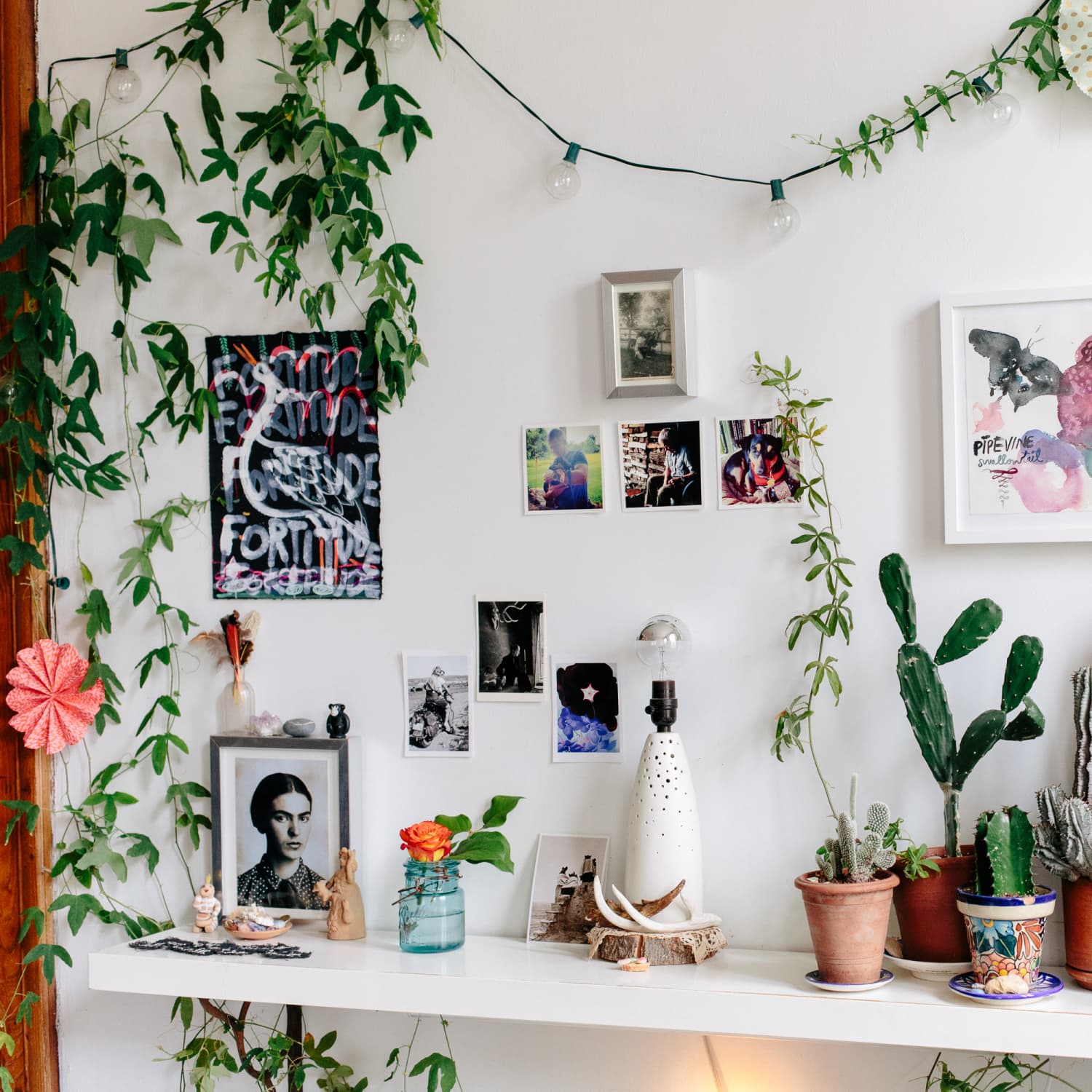 grow light setup for houseplants