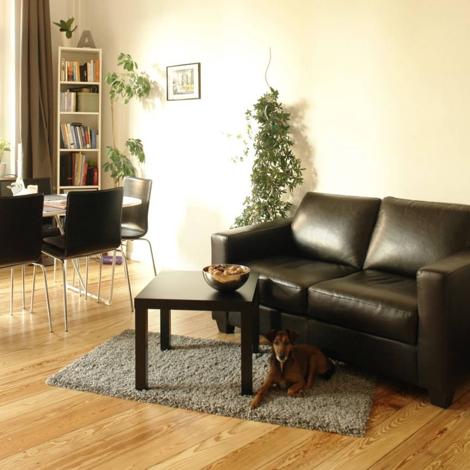 Lehenga Fashion Choli Designs Latest Fashion Bridal Lehenga SpectacularRani  Pink, image size:1500x1500