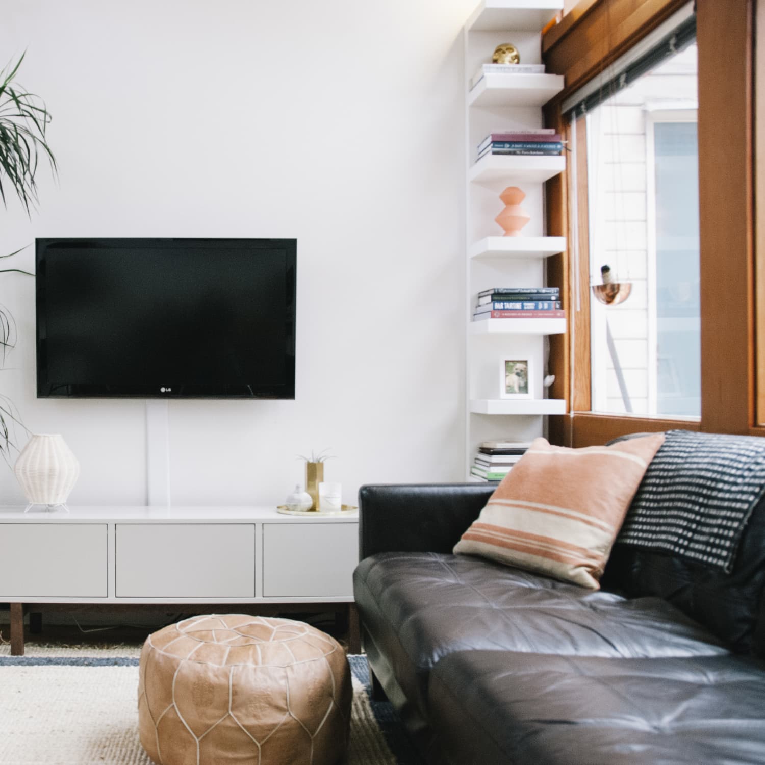 Dracaena Plant Care How To Grow Maintain Dracaena Plants Apartment Therapy