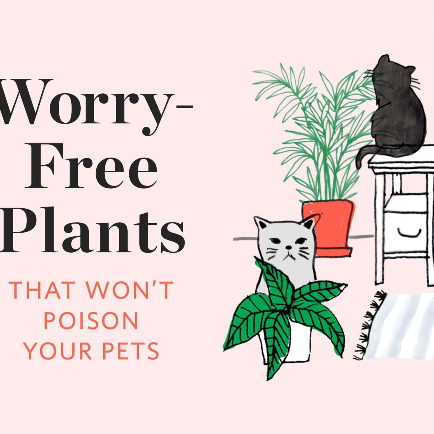 Non Toxic Plants That Won T Poison Your Pets Apartment Therapy