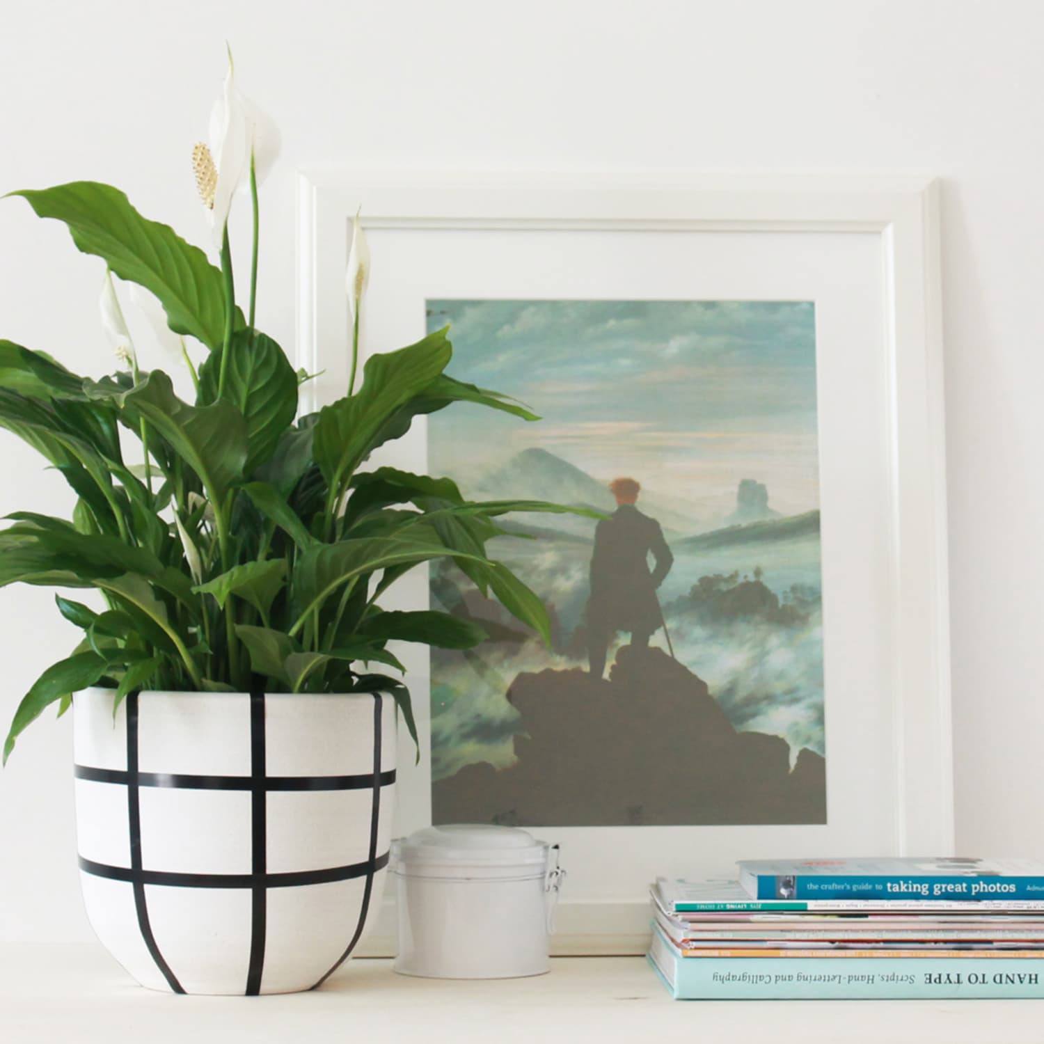 Peace Lily Plant Care How To Grow Maintain Peace Lilies