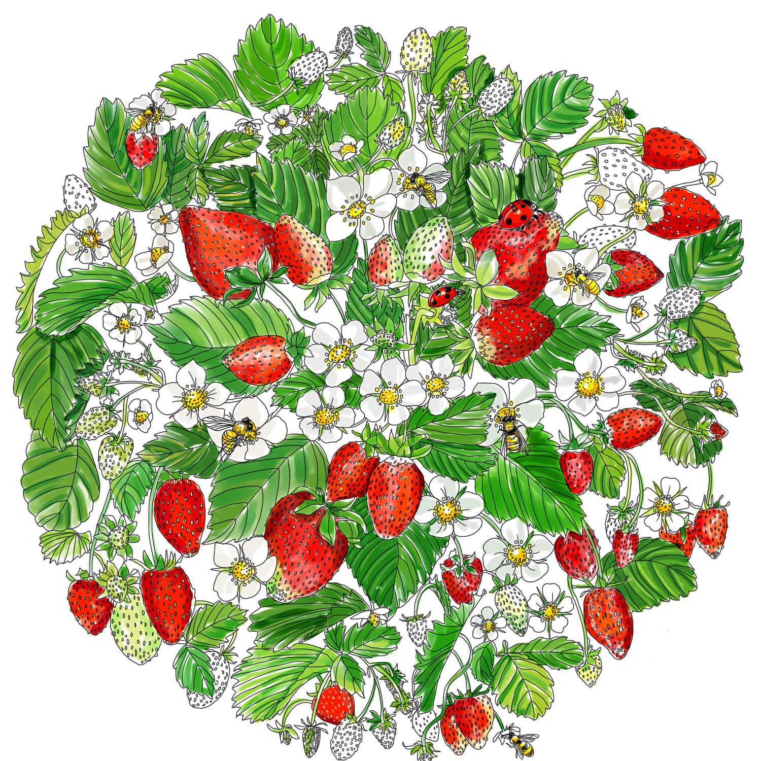 A Printable Adult Coloring Page For Strawberry Lovers Kitchn