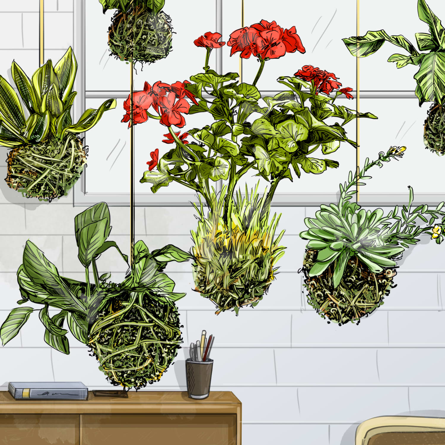 How to Make Kokedama: Hanging Gardens Perfect for Small Spaces | Apartment  Therapy