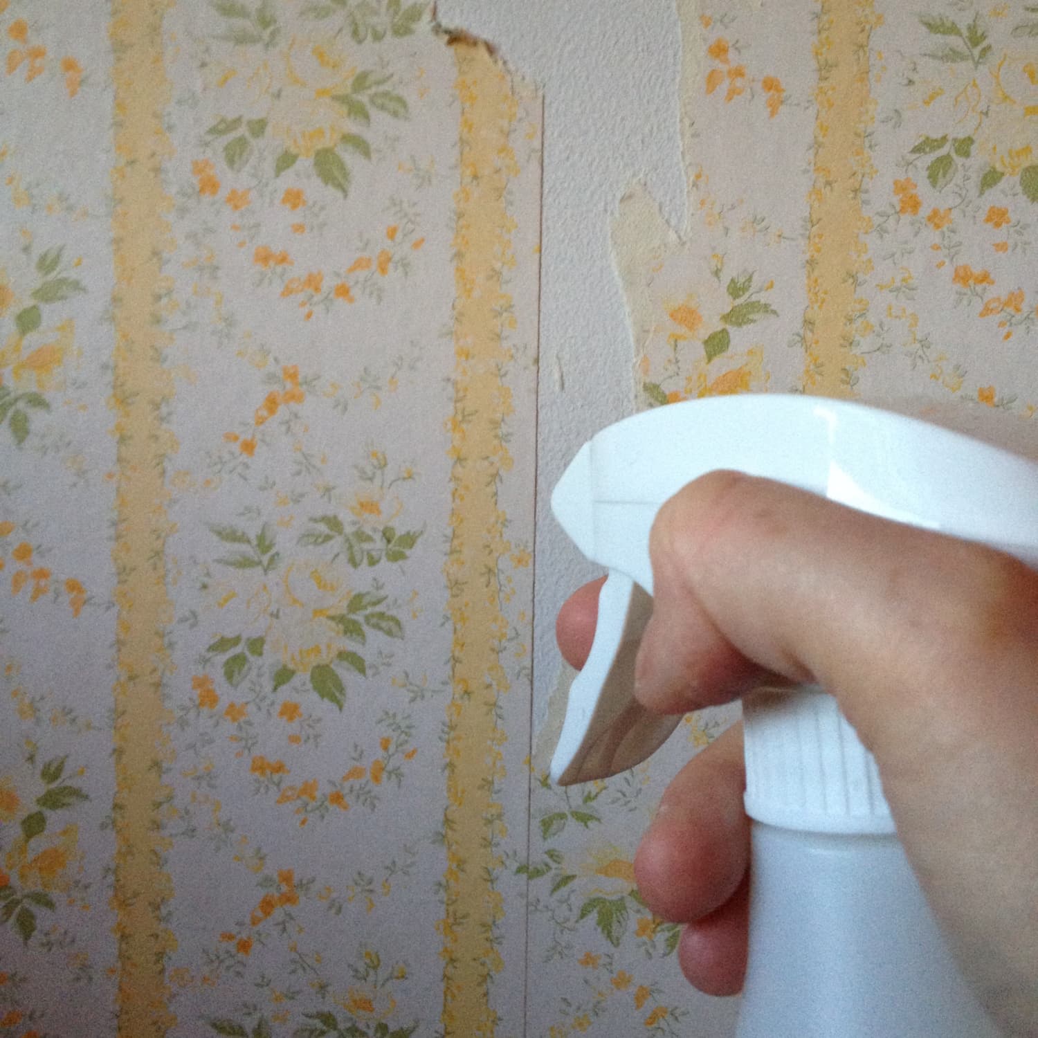 Easy & All Natural Wallpaper Removal Tip: Use Vinegar and Hot Water |  Apartment Therapy