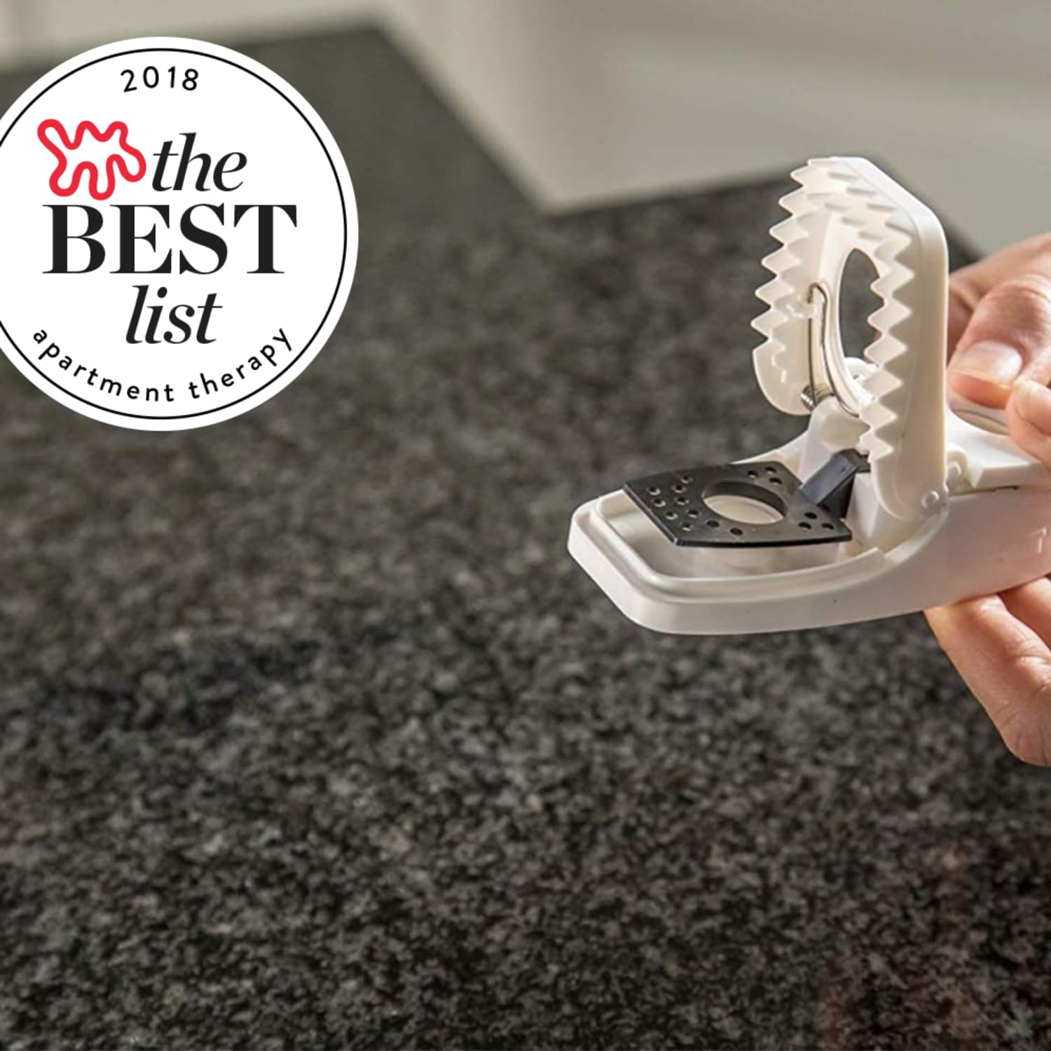 The Best Mouse Traps To Buy Humane Electric Snap Apartment