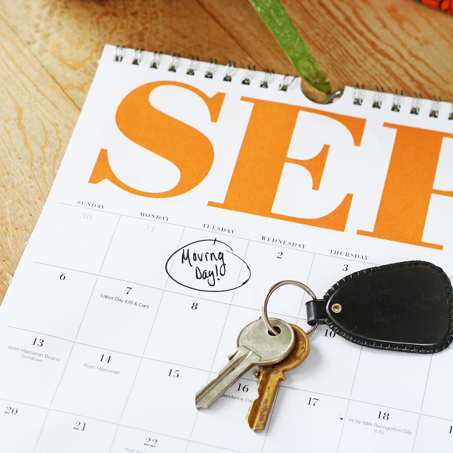 Packing And Planning The Most Efficient Move Ever Apartment Therapy