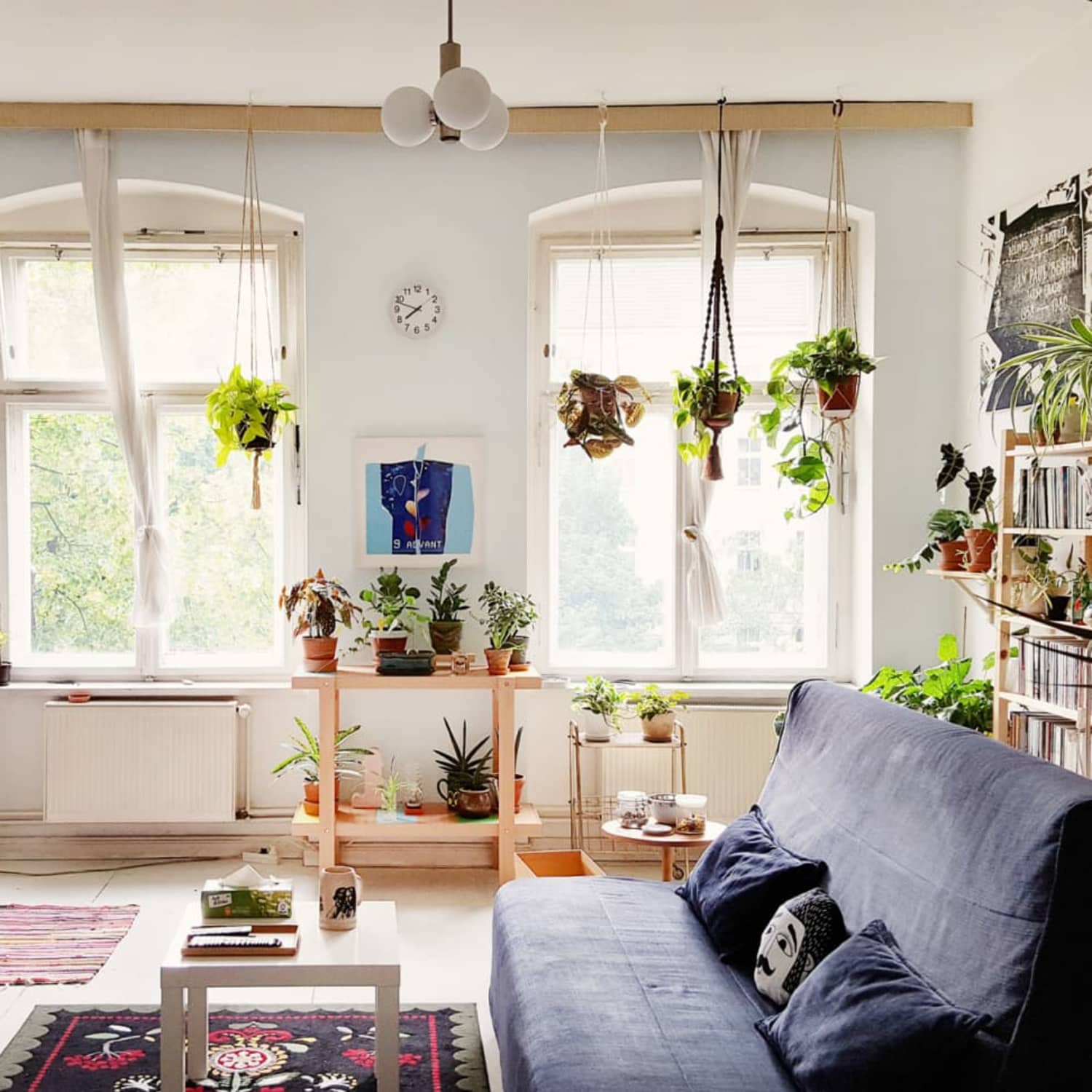 Hanging Plants Pulley DIY Hack | Apartment Therapy