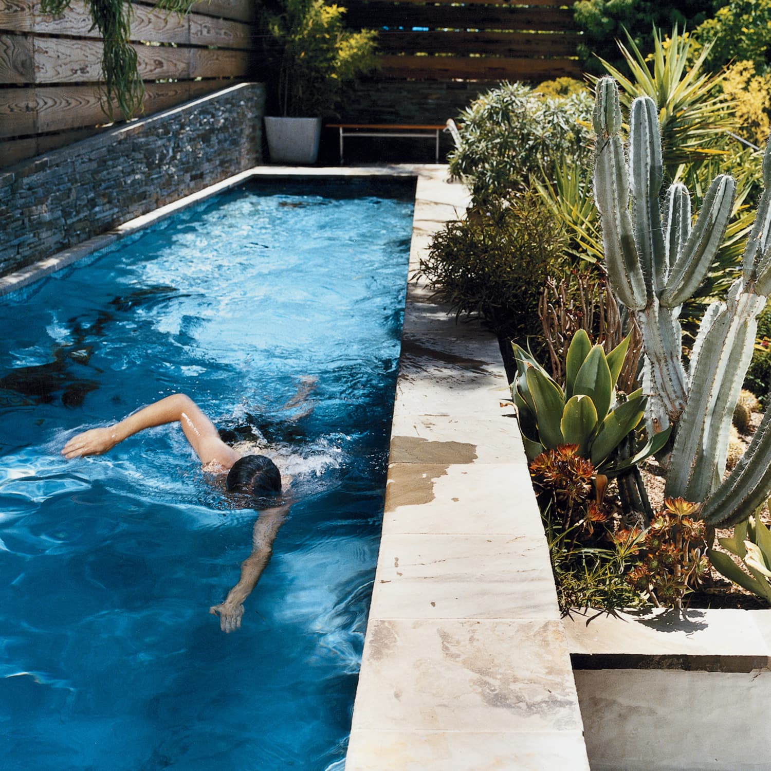Beautiful Modern Lap Pools Photos And Inspiration Apartment Therapy