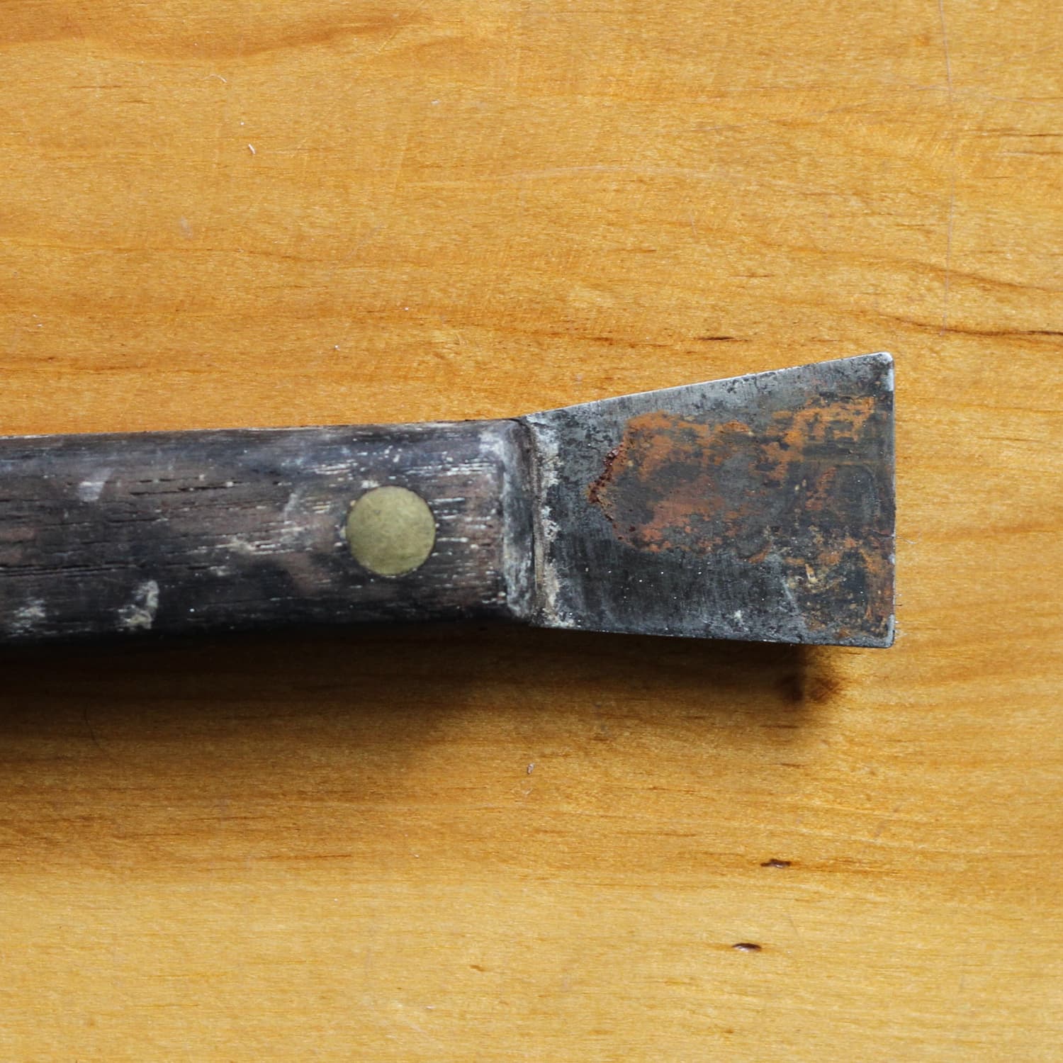 How to Remove Rust from Knives (With Things You Already Have)