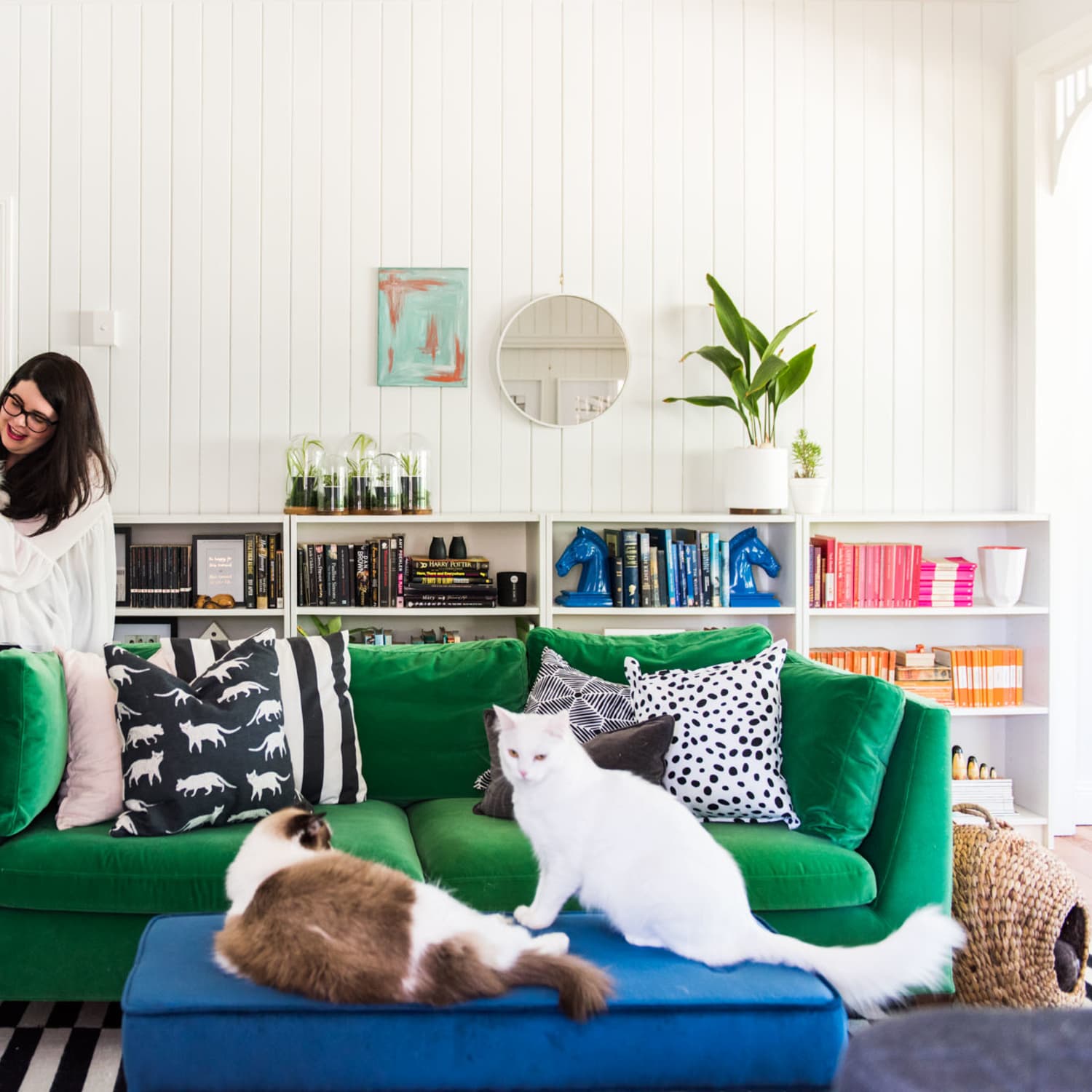 How To Remove Pet Hair From Furniture Floors More Apartment