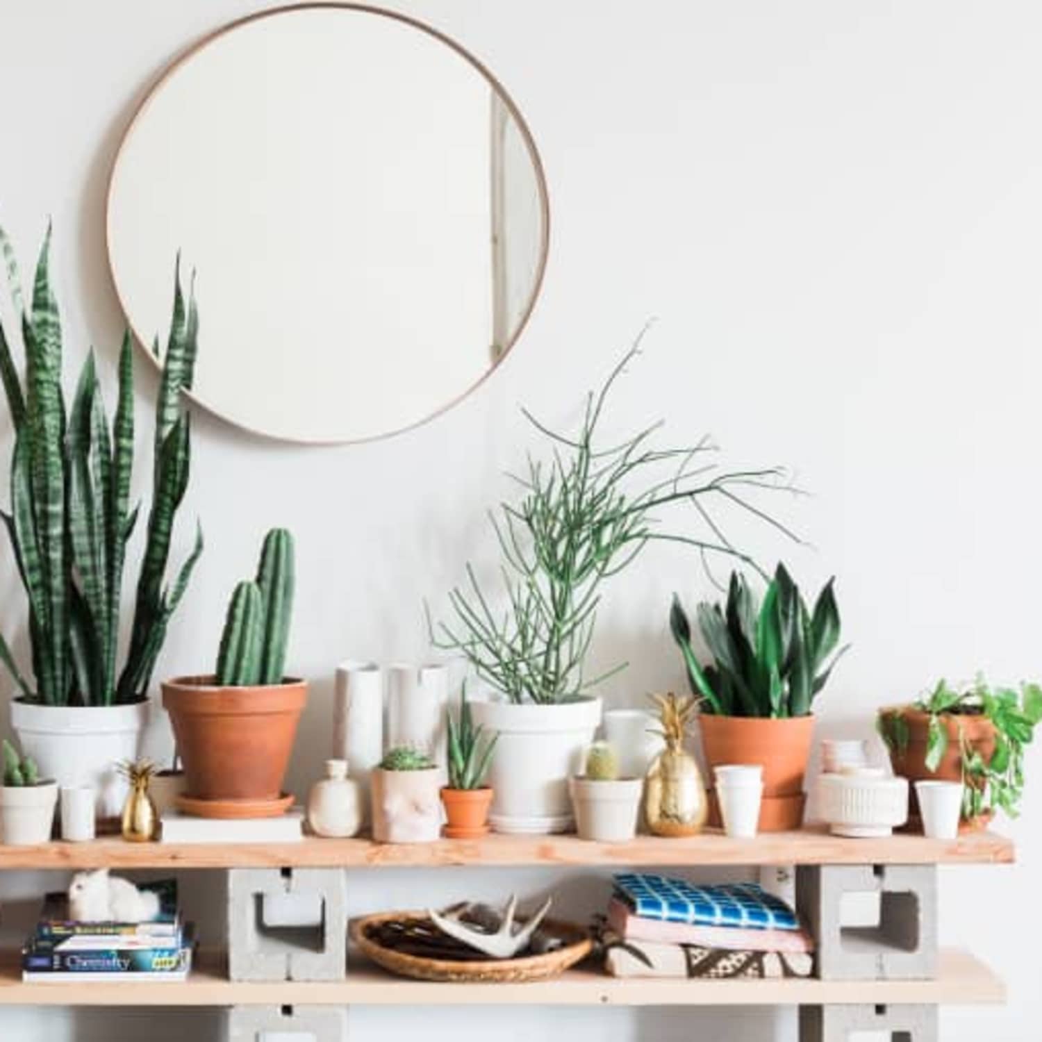 23 Mirror Ideas How To Decorate With Mirrors Apartment Therapy Small mirrors may still provide just enough light, even in the smallest spaces. 23 mirror ideas how to decorate with