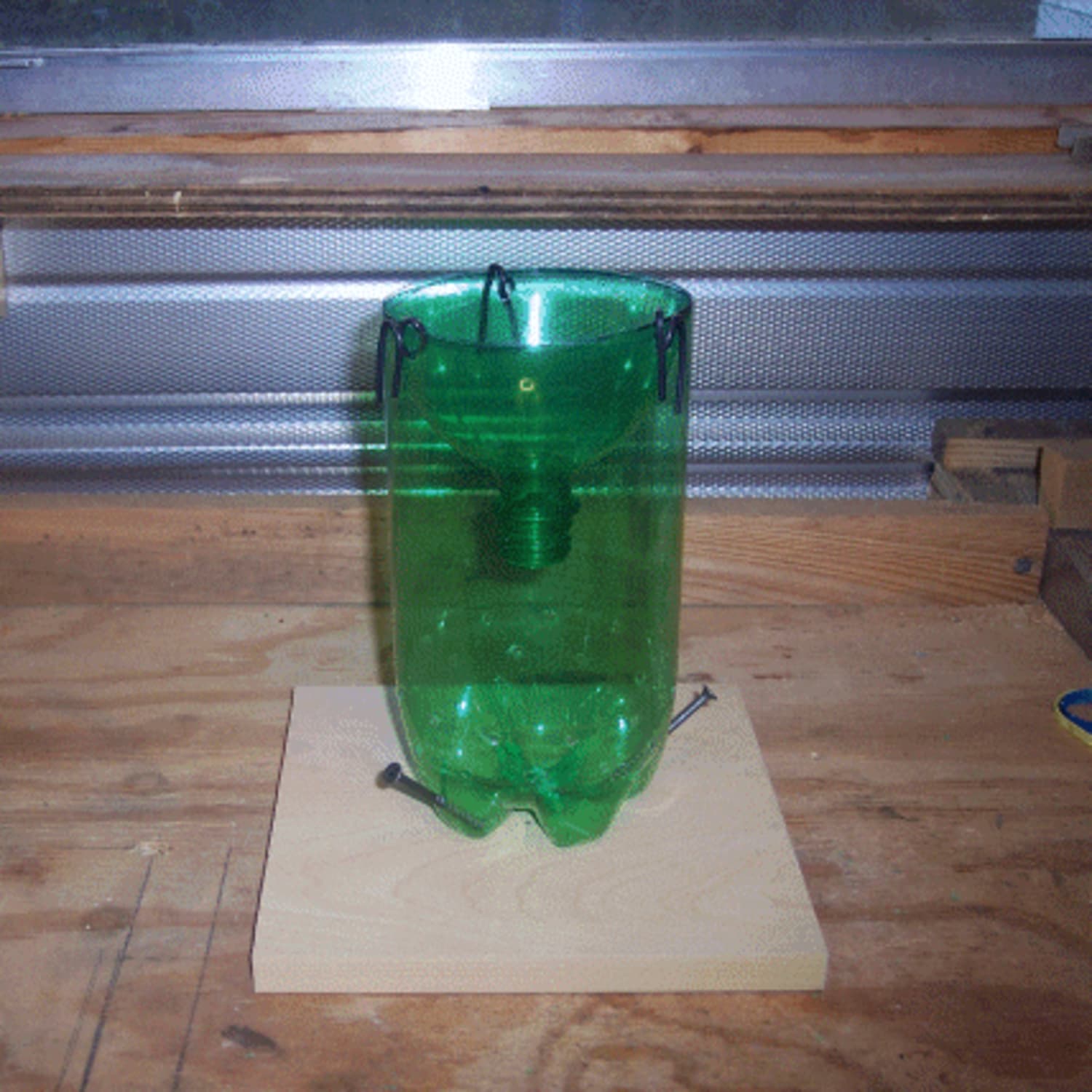 How To Build A Diy Humane Mouse Trap Apartment Therapy