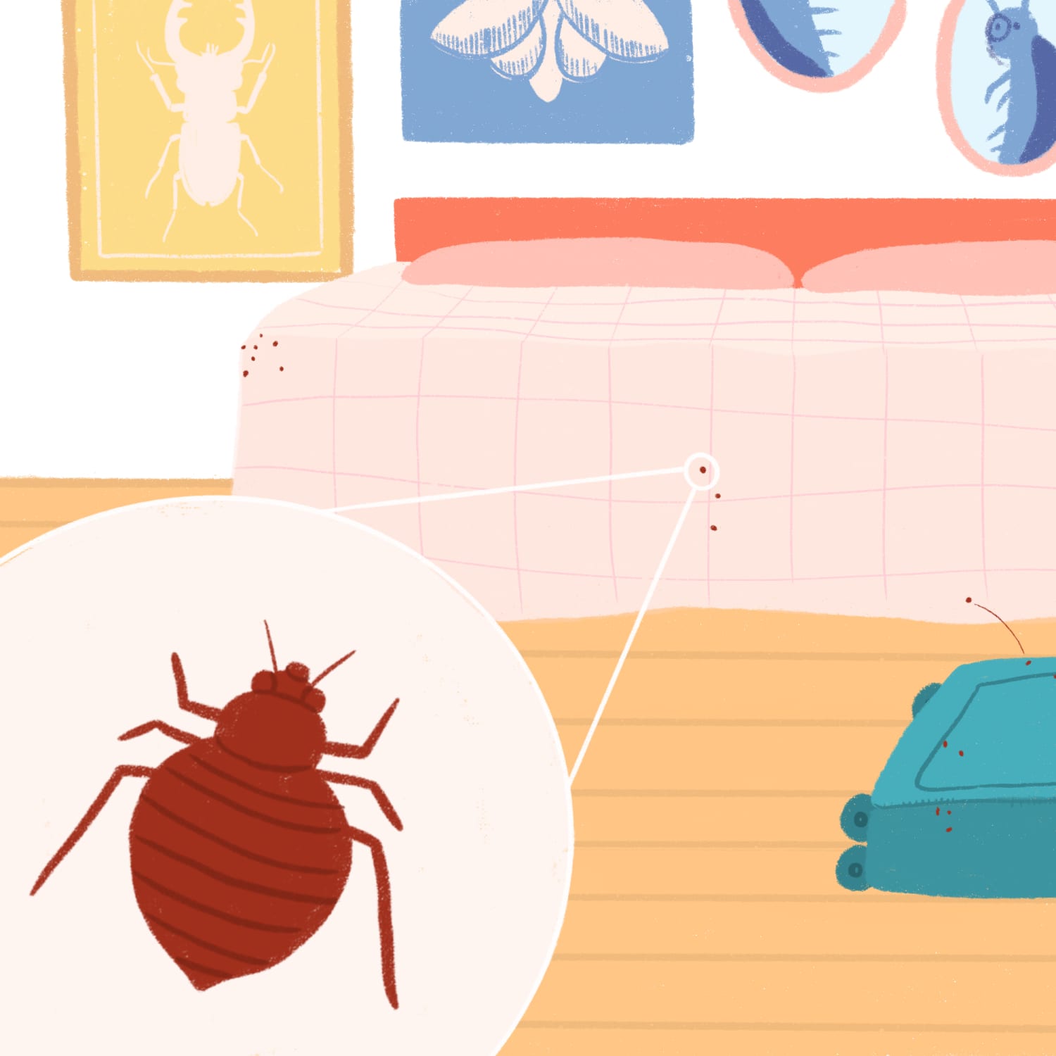 How to Get Rid of Bed Bugs: A DIY Guide  Bed bugs treatment, Rid of bed  bugs, Bed bugs
