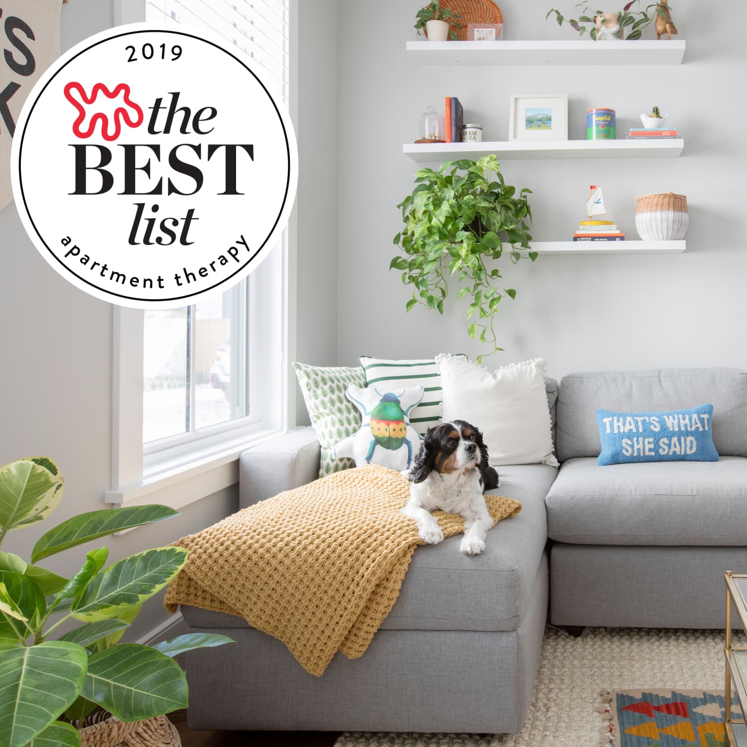 The Best Kid And Pet Friendly Sofas Sectionals Leather