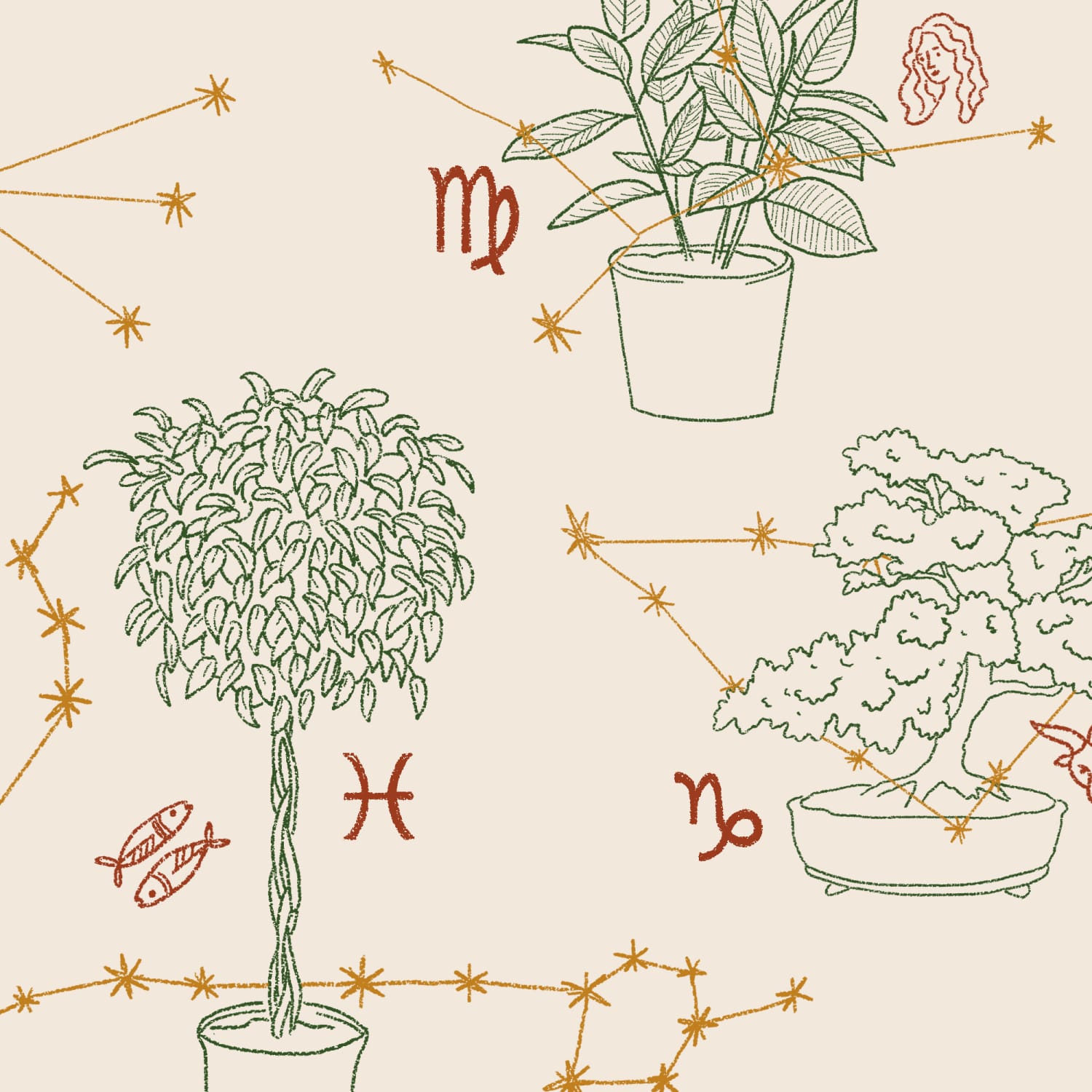 How to Feng Shui with Houseplants Based on Your Astrological ...