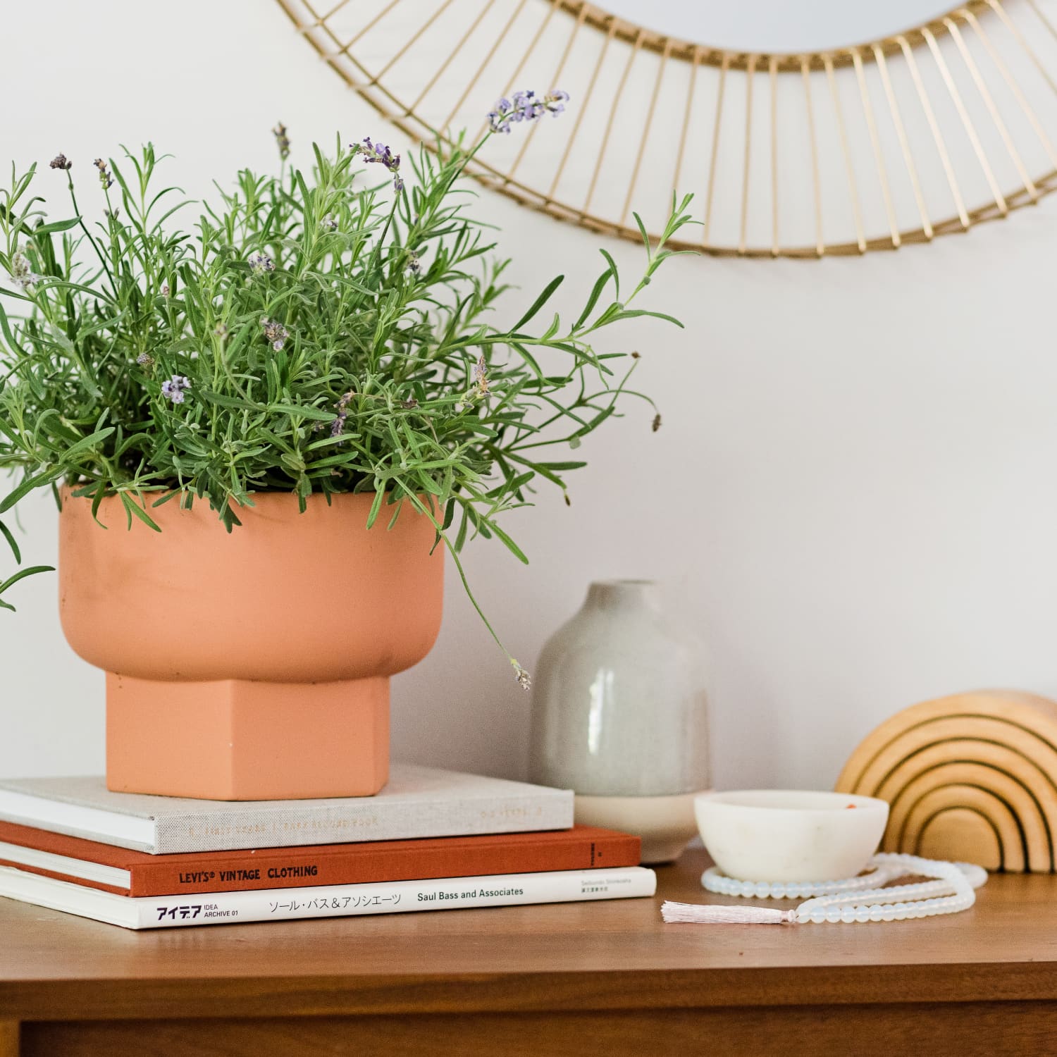 How to Grow Thyme Plants Indoors