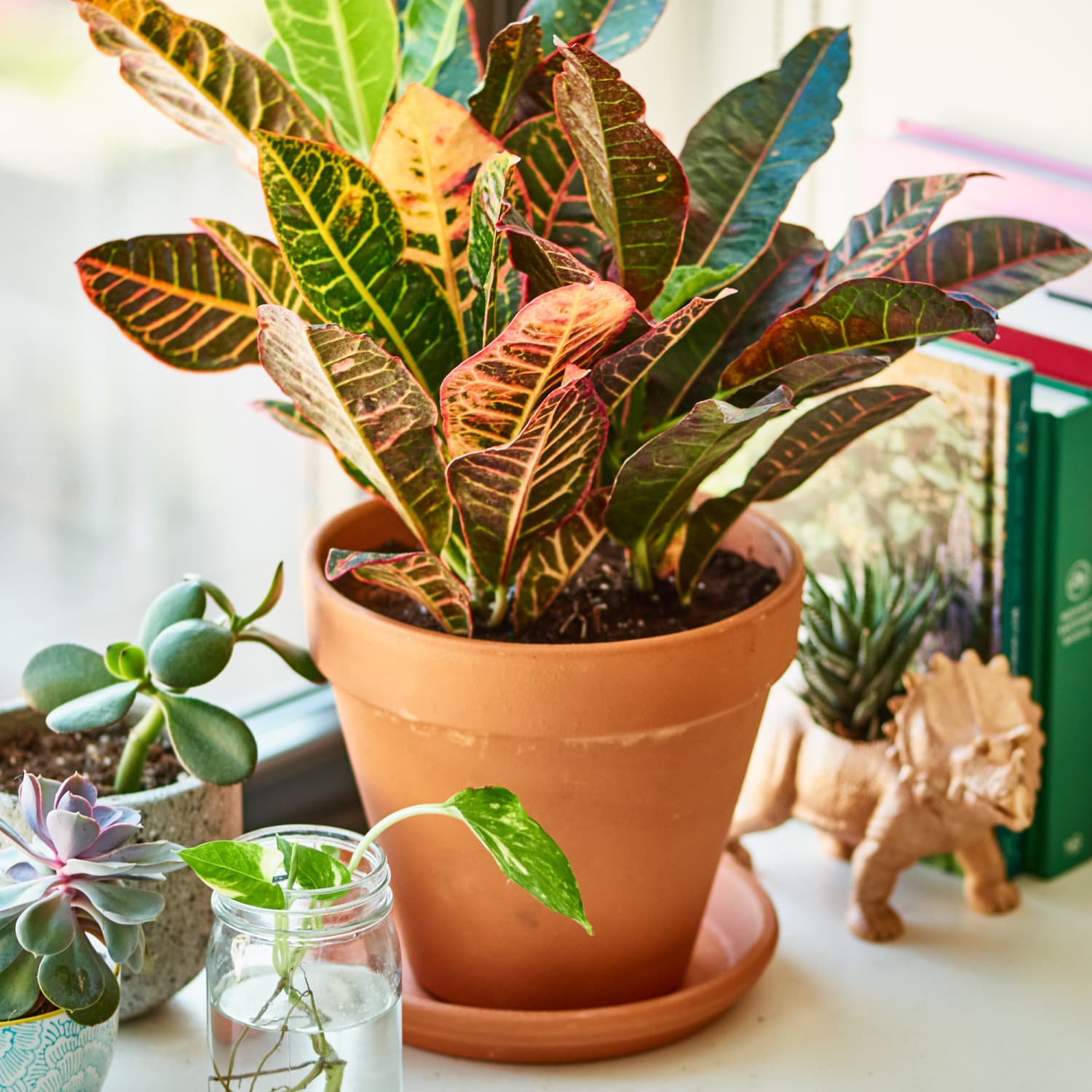 How to Prepare a Terra Cotta Clay Flower Pot for Painting Projects